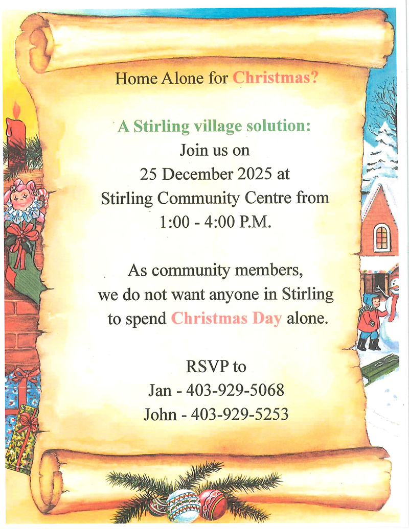 Home Alone for Christmas?