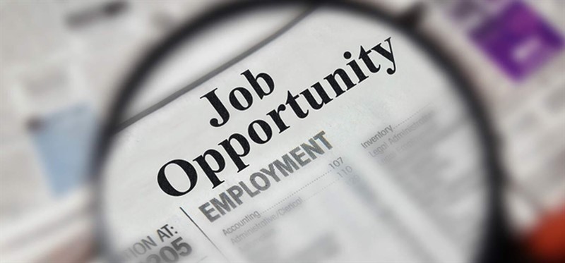 Job Opportunity