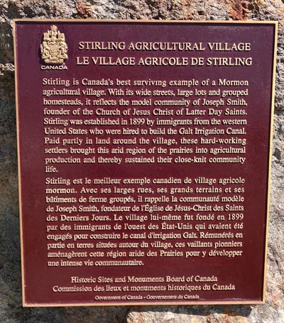 Plaque - Close Up