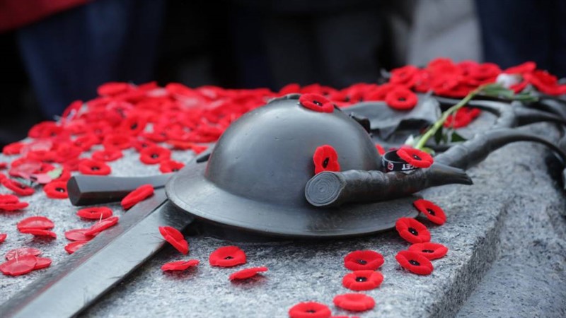 Soldier War Memorial Poppies